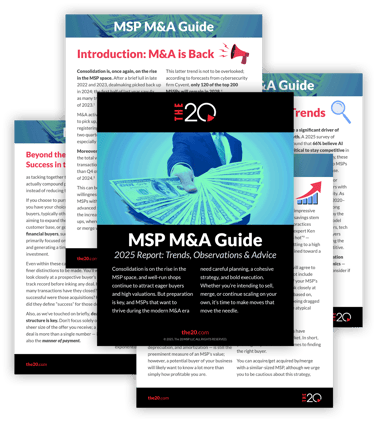 The 20 MSP M&A Guide Graphic LP